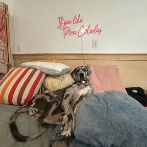 Meet your Posher, Maggie